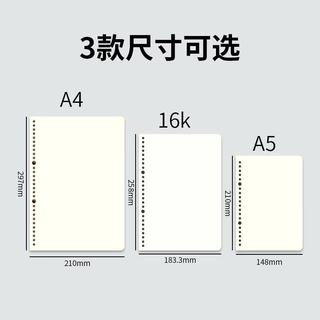 维克多利 A5打印纸 加厚带孔活页替芯 400张10袋