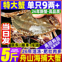 【冷冻】26年新蟹 舟山特大梭子蟹鲜活大螃蟹大肥壮飞蟹新鲜白蟹 （舟山海捕）单只4-6两丨【3斤】6-8只净重