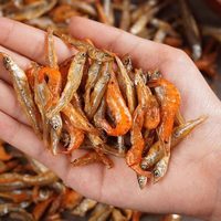 烨棠 乌龟饲料龟粮小鱼干虾干巴西龟草龟专用粮饲养缸淡水无食物甲鱼盐