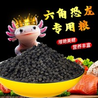 鱼克斯 蝾螈六角恐龙鱼饲料六角龙高蛋白方下沉底型鱼食粮饲料宠物专用