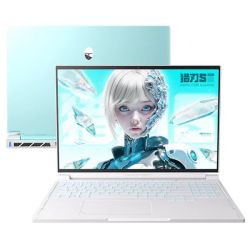 雷神 猎刃S i9-13900HX 16G 1TB RTX5060 2.5K 240Hz 天青色