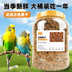 深深宠 鹦鹉鸟粮饲料鸟食鹦鹉粮食五色黍子虎皮牡丹珍珠鸟饲料谷子小鸟食