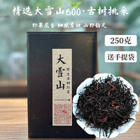 倮彝 云南滇红大叶种普洱古树茶头春新茶 2025年新茶-250克