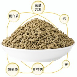 春之言 寸金龟粮乌龟饲料巴西龟食食粮草龟食料小乌龟粮食幼龟大颗粒高钙
