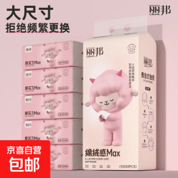 丽邦 1000张挂抽悬挂式大包抽纸 原生木浆四层加厚擦手纸卫生纸 4层1000张*1提