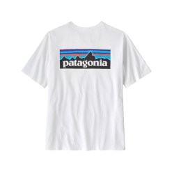 Patagonia P-6 Logo 男士短袖T恤 38504