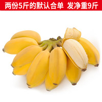 静益乐源 新鲜广西小米蕉 5斤装