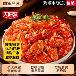 天海藏 蒜蓉小龙虾 3斤 3-5钱