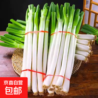 京喜自营-专用品牌 山东大葱 带脏皮去半叶 净重9斤装