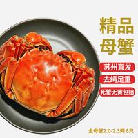 乾澄 大闸蟹现货 全母蟹2.0-2.3两 8只 净重鲜活螃蟹生鲜河蟹礼盒源头直发