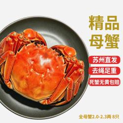 乾澄 大闸蟹现货 全母蟹2.0-2.3两 8只 净重鲜活螃蟹生鲜河蟹礼盒源头直发