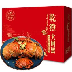 乾澄 大闸蟹 全母蟹2.3-2.6两 6只装 生鲜河蟹