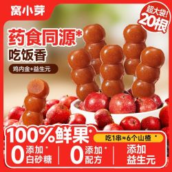 窝小芽 糖葫芦20根+水果棒棒糖30根 益生元山楂鸡内金零食