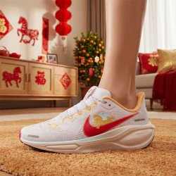 NIKE PEGASUS 41 GS 大童款跑步鞋 IQ1139-161