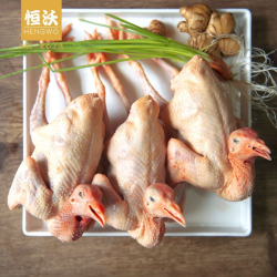 恒蜂源 精品乳鸽 3只
