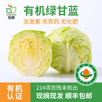 旭耕 有机卷心菜 新鲜有机蔬菜配送 有机包菜甘蓝洋白菜圆白菜卷芯菜 3斤
