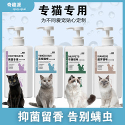 奇趣派 猫洗澡沐浴露抑菌除臭持久留香猫咪专用沐浴露幼猫洗澡液温和香波