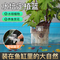 水培植物篮水草种植杯鱼缸造景装饰旋钮XL