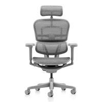 Ergonor 金豪B 2代 人体工学电脑椅 银白色 美国网款