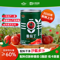 冠农股份 Guannong 冠农 新疆番茄丁罐头 400g/罐
