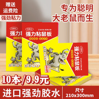 强力粘鼠板 加大加厚加胶 强力胶 家用捕鼠折叠