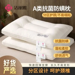 洁丽雅 枕头护颈椎助睡眠枕芯 一对装 单人