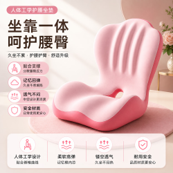 勋阳宇乐 坐垫靠背护腰一体减压座垫 双粉拼色