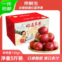 京鲜生 云南昭通红露苹果 净重5斤 单果65mm+新鲜水果 源头直发  5斤装 单果65mm+