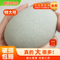鄱湖鸭舍 无铅松花蛋皮蛋溏心松花皮蛋无铅工艺变蛋厂家麻鸭蛋 60-70克/枚