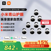 米家 筒灯2Pro 十支装
