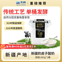 天润 新疆奶皮子酸奶 生牛乳发酵 桶装酸奶 低温风味发酵乳 880g*1桶