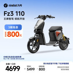 九号 FZ3 110 电动自行车