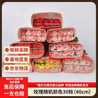 京东鲜花 玫瑰花鲜花 随机颜色30枝2-3种颜色