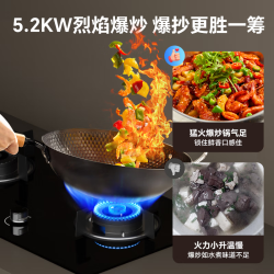 康宝 JZT-HI52-QI21H 5.2KW大火力 天然气 燃气灶