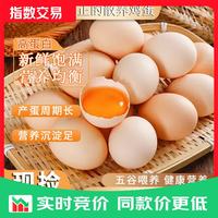 臻选鲜鸡蛋 40g±5g/枚 当日现捡10枚