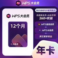 WPS大会员年卡12个月