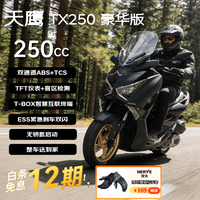 天鹰 TX250F豪华版 燃油踏板摩托车复古摩旅通勤代步哑黑 26款赠手套