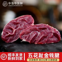 中鲜鲁牛 山东国产五花趾三花趾牛腱子 1250g