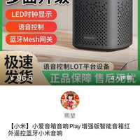 小米 小爱play增强版