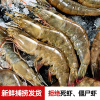 兆华 虾青岛大虾基围虾鲜活青虾白虾对虾 新鲜活冻海鲜 1500g*1盒3斤(净重)  海捕大虾40/50
