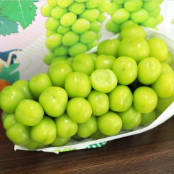一统果家 阳光玫瑰葡萄3斤晴王葡萄新鲜无籽葡萄香印青提水果新鲜当季整箱 2斤