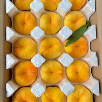 OLOEY 特大果 山东蒙阴 黄金蟠桃 2.25斤装 4-7个
