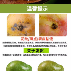 纤果莱 正宗凯特芒芒果新鲜当季水果大芒果攀枝花澳芒青整箱包邮催熟食用