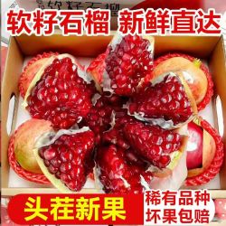 无品牌 中国大陆 会理软籽石榴 中大果 2250g
