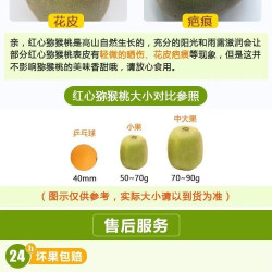 正宗红心猕猴桃现货四川蒲江发货大果香甜多汁整箱非绿黄心奇异果