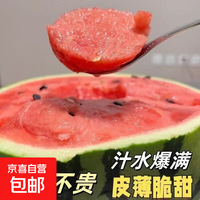 美都 正宗现摘麒麟西瓜 8-10斤装