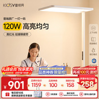 童视界 普瑞红光护眼大路灯 全光谱 120W 落地台灯