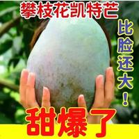 凯昀 四川攀枝花凯特芒果新鲜采应季斤水果芒果整箱包邮特大青忙果当季