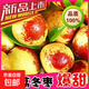 陕西大荔冬枣新鲜甜枣 带箱3斤