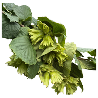 聚怀斋 山东临沂蒙山板栗 生板栗 1kg